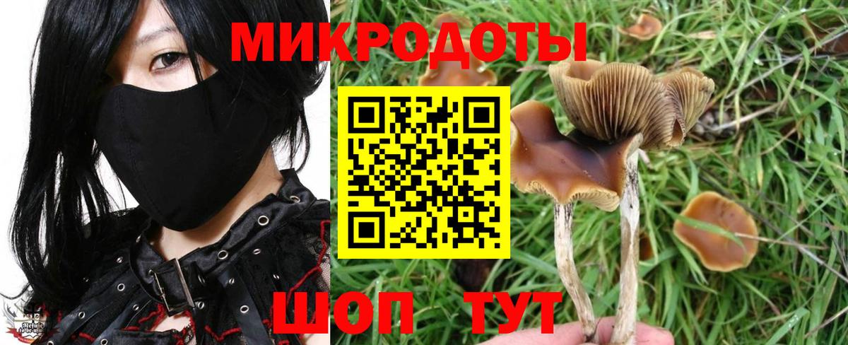 Псилоцибиновые грибы GOLDEN TEACHER Шали